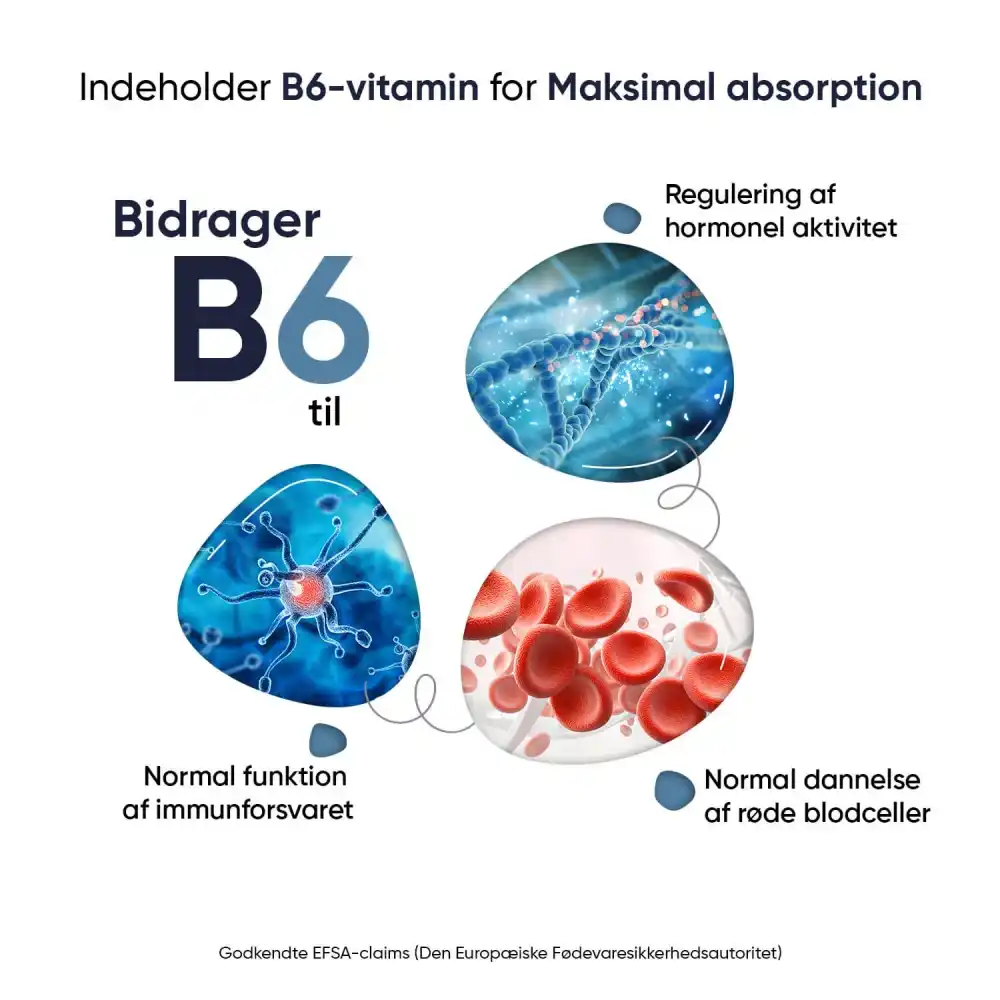 Marine Magnesium + B6-Vitamin: Test, anmeldelse og bedste pris - Billede 4